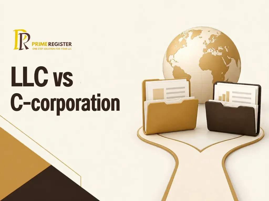 Two distinct company folders beside a globe and a simple branching path.