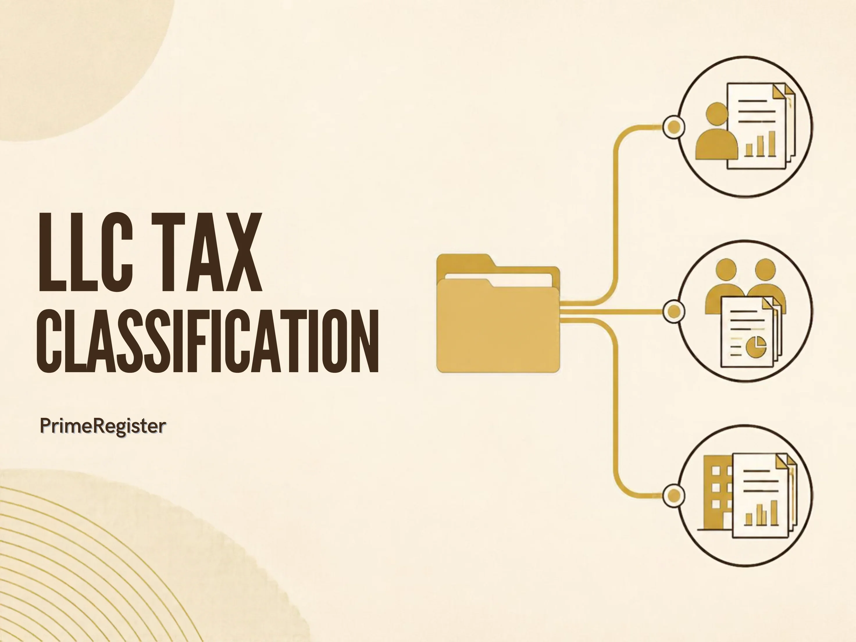 Three clearly separated routes from one LLC folder to owner reporting, partnership reporting and corporate reporting.